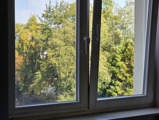 Mieszkanie 50m2 Świętojerska 24, Warszawa. Do wynajęcia