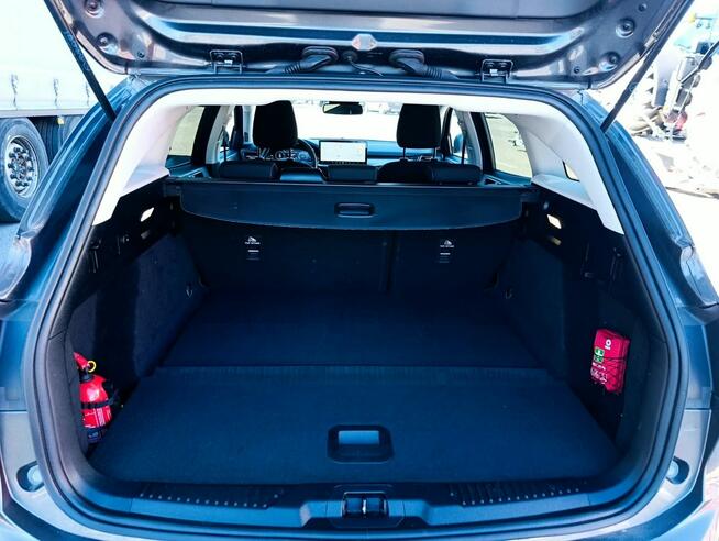 Ford Focus Salon Polska fv23