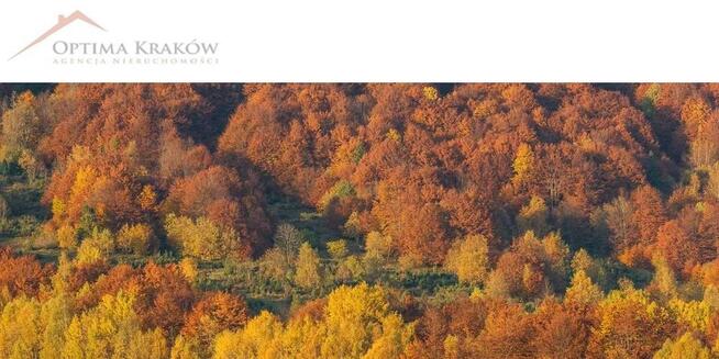 Działka rolna Podolany gm. Gdów