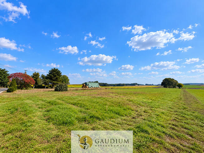 DZIAŁKA 600 m² NA SPRZEDAŻ – TORZEWO, GM. KOZJATY