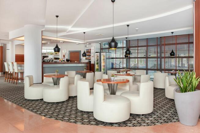 barman barmanka w Hotelu Ikar Plaza