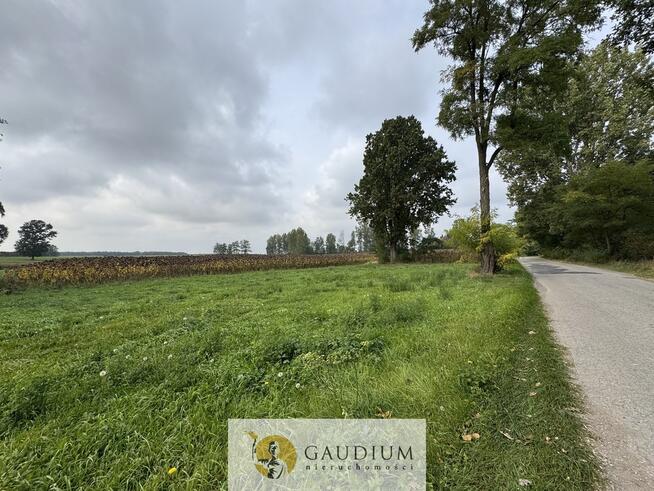 Działka 300 m² z warunkami zabudowy – Kozjaty, gm. Topólka