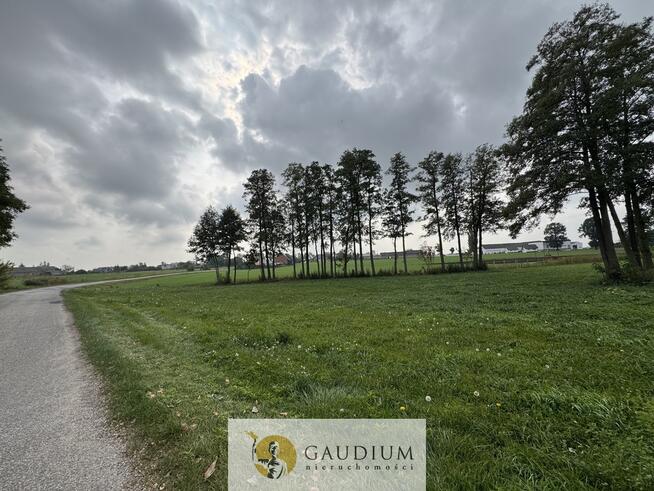 Działka 300 m² z warunkami zabudowy – Kozjaty, gm. Topólka
