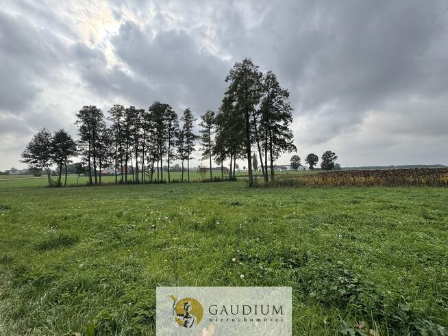 Działka 300 m² z warunkami zabudowy – Kozjaty, gm. Topólka