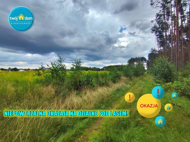 Działka budowlana Skrybicze gm. Zabłudów
