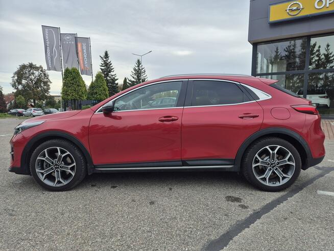 Kia XCeed 1.6 T-GDI XL 204KM