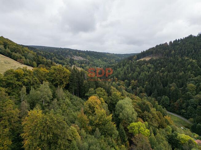 Działka budowlana gm. Nowa Ruda