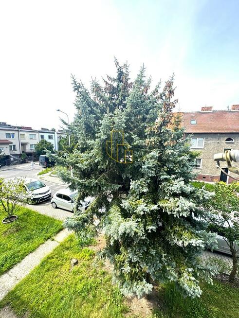 Krzyki/Grecka/Fabryczna/Muchobór/na wynajem/2 pok/ogród