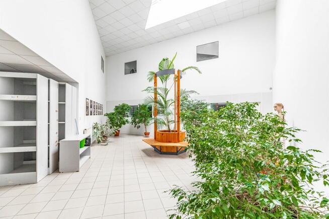 Lokal użytkowy Lublin Lsm,
