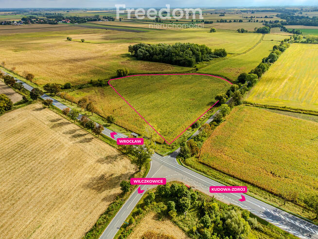 Działka inwestycyjna 2,31 ha | Wilczkowice | E8