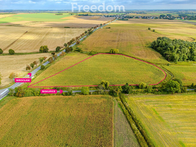 Działka inwestycyjna 2,31 ha | Wilczkowice | E8