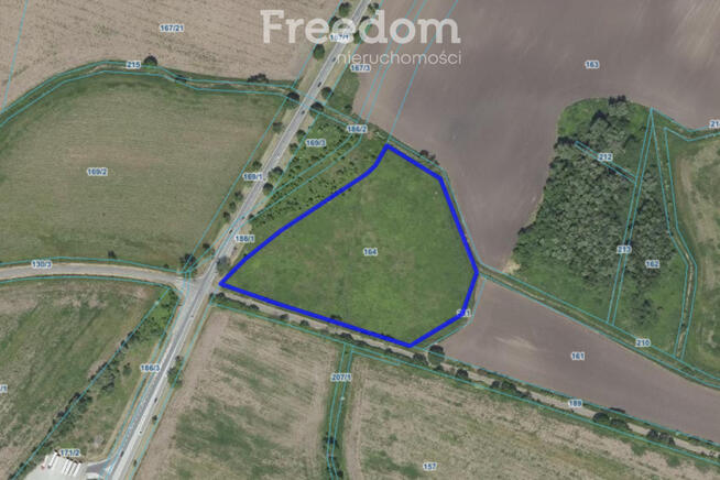 Działka inwestycyjna 2,31 ha | Wilczkowice | E8