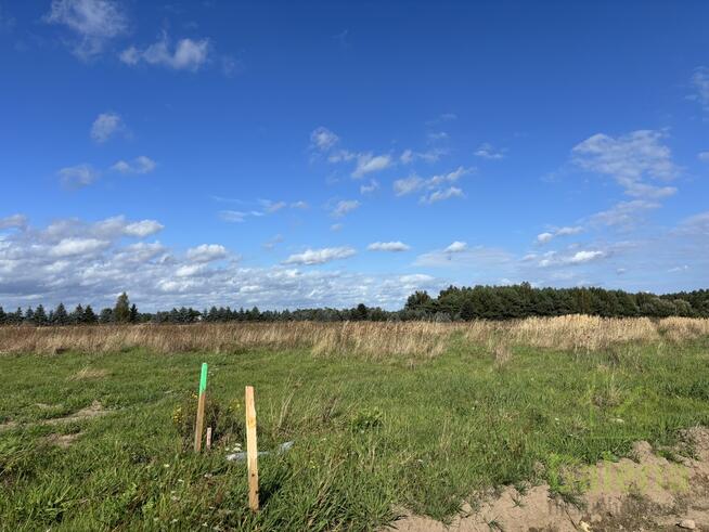 Działki w Sieciechowie, gm. Nowogard. 954 m2.