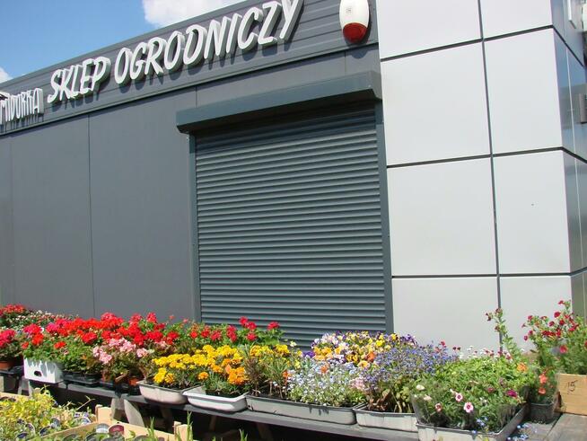 Lokal użytkowy Miłoszyce gm. Jelcz-Laskowice, Przy Lesie