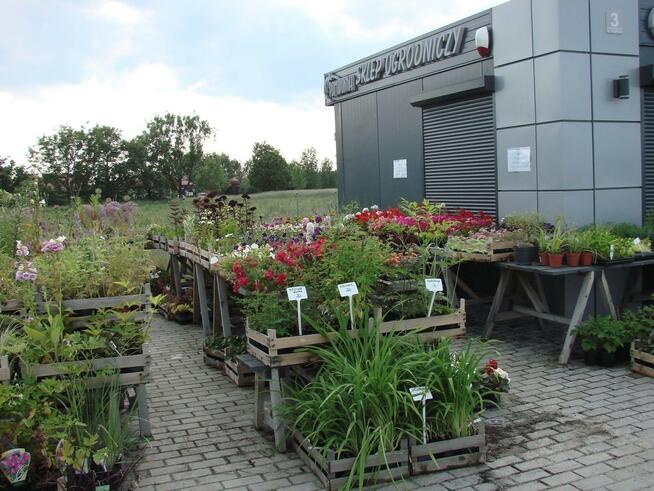 Lokal użytkowy Miłoszyce gm. Jelcz-Laskowice, Przy Lesie