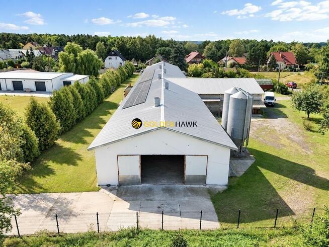 Lokal użytkowy Szczecin Wielgowo