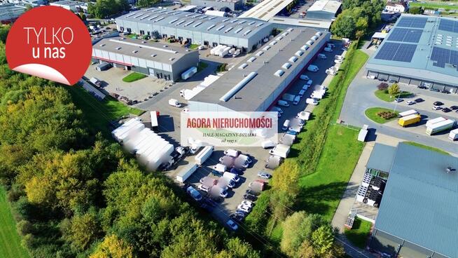 HALA MAGAZYN LOGISTYKA 80 bram Rybitwy 5000 m2