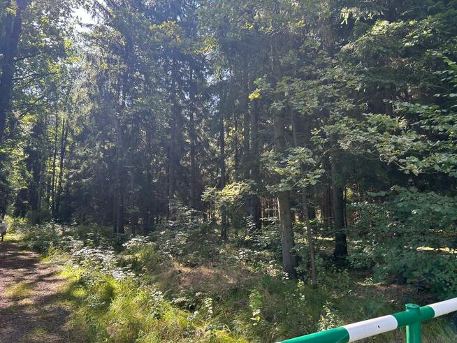 Działka siedliskowa Łomnica gm. Mysłakowice, Karpnicka