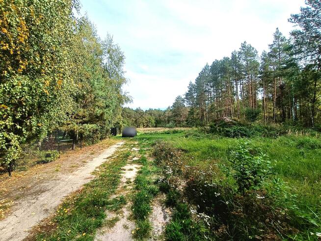 Działka rekreacyjna Helenów gm. Głowno