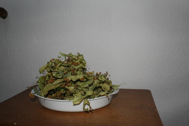 LIPA SUSZONA