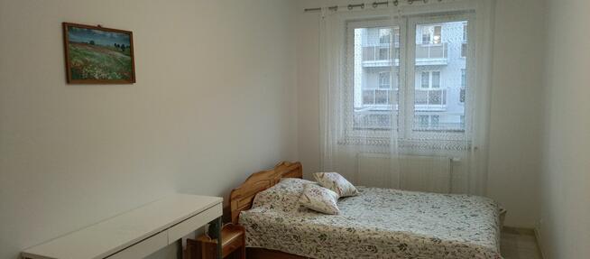 Wynajmę apartament