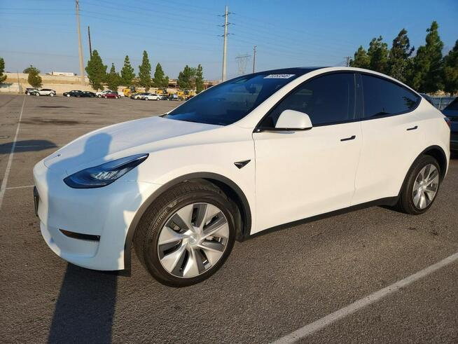 Tesla Y