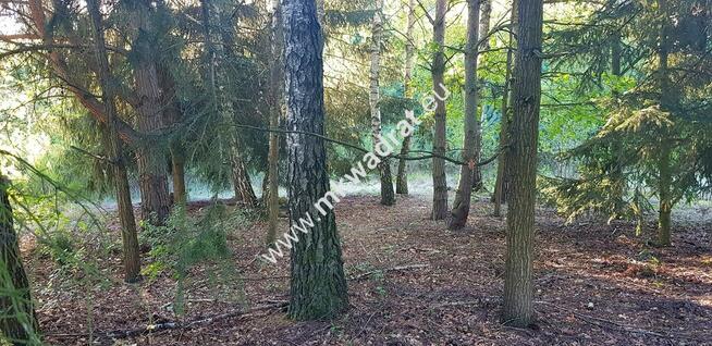 Działka w drugiej linii zabudowy
