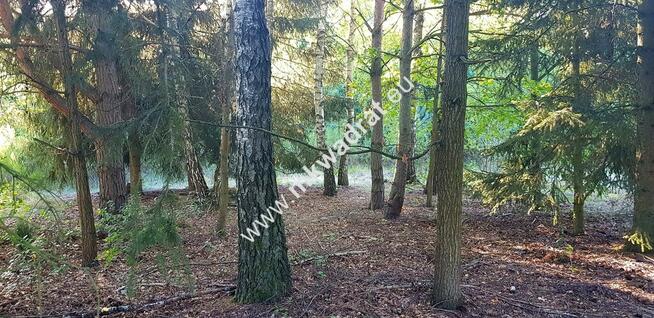 Działka w drugiej linii zabudowy