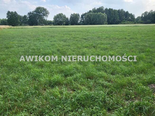 Działka budowlana Baranów Holendry Baranowskie