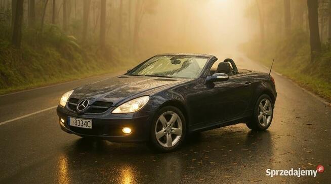 Mercedes-Benz Klasa SLK
