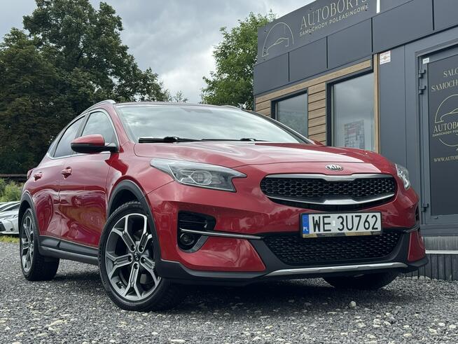 Kia XCeed 204 konie krajowy automat