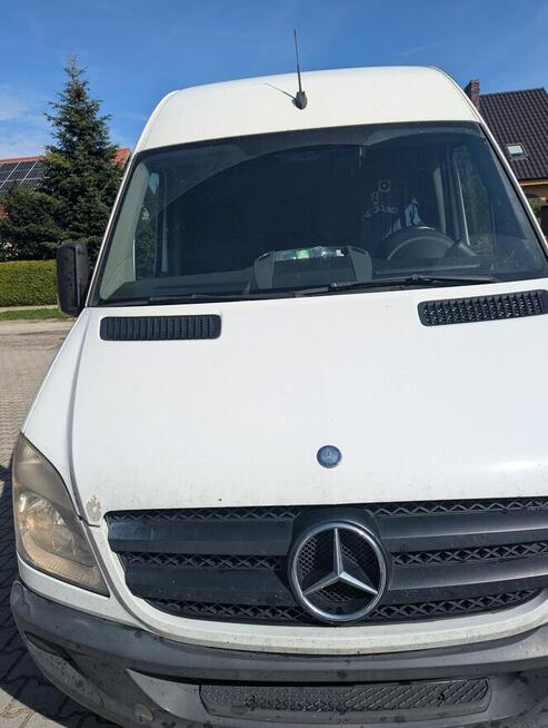 wynajem bus dostawczy mercedes sprinter l2h2