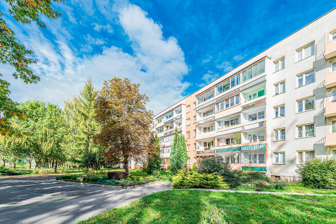 Prywatne Mieszkanie 3 pokoje, piwnica, balkon, niski czynsz
