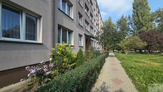 Mieszkanie Gliwice, Kormoranów