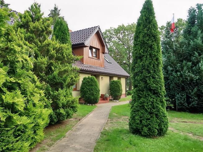 Dom z cegły plus 2 domki, 4700 m² działka, 8 km od Bałtyku