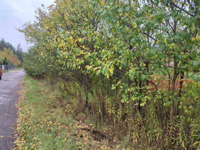 Działka budowlana Łoś gm. Prażmów,