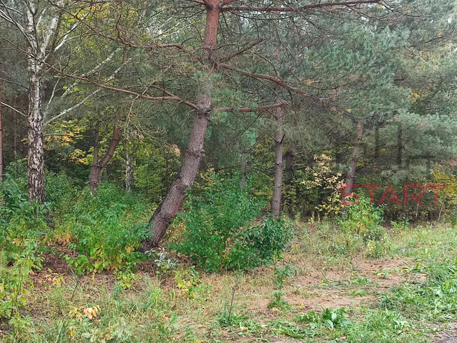 Działka budowlana Łoś gm. Prażmów,
