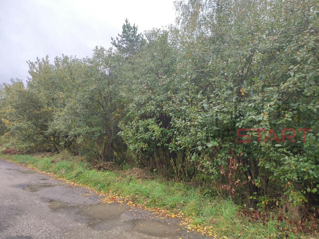 Działka budowlana Łoś gm. Prażmów,