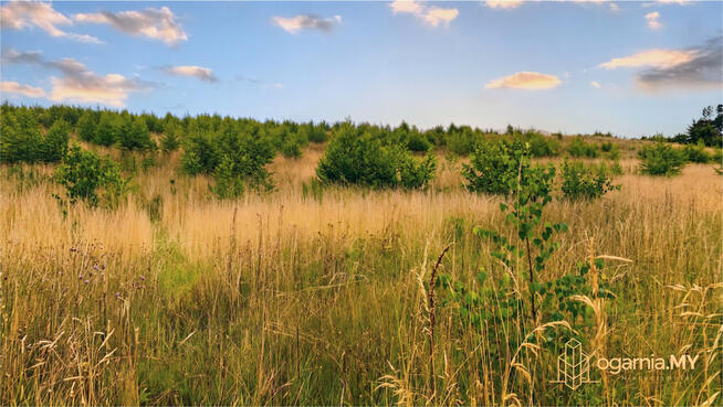 Mosty | 147 m² | 5 pokoi | garaż | ogród | Błękitna Mila