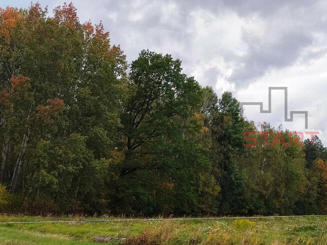 Działka budowlana Prace Duże gm. Tarczyn,