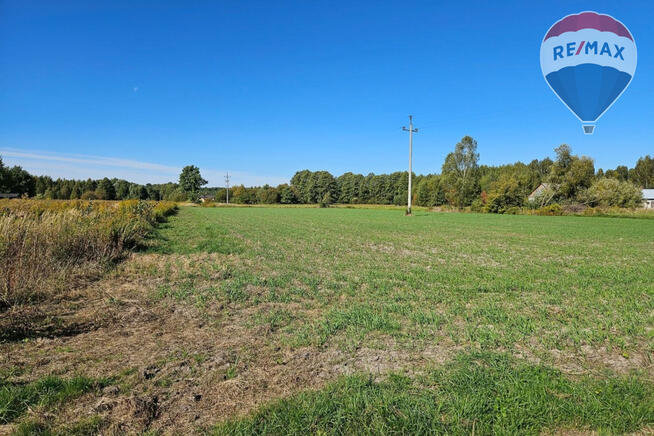 Działka budowlana 4180m2, Benenard, gm. Radziejowice