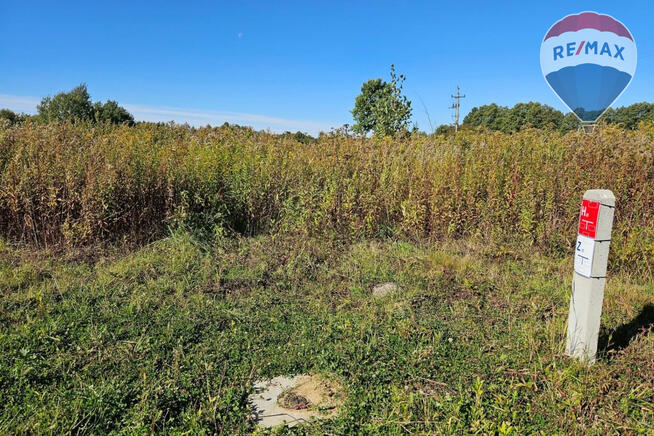 Działka budowlana 4180m2, Benenard, gm. Radziejowice