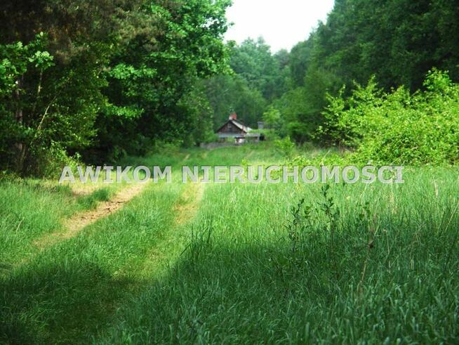 Działka Skierniewice Borowiny