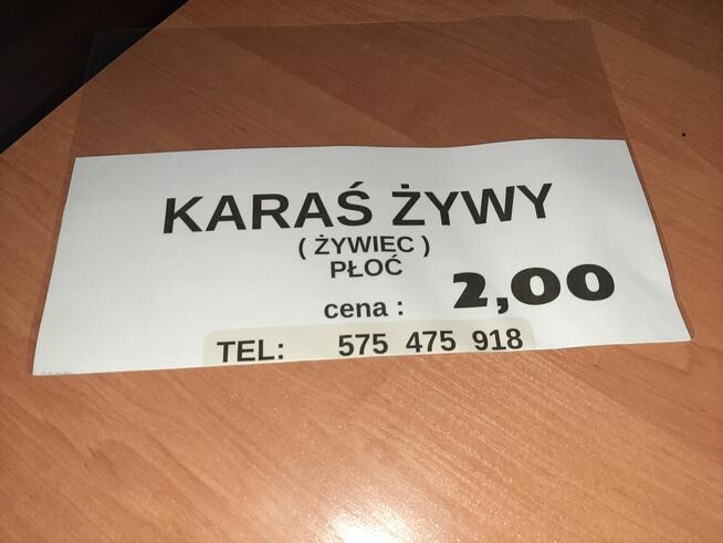 Karas