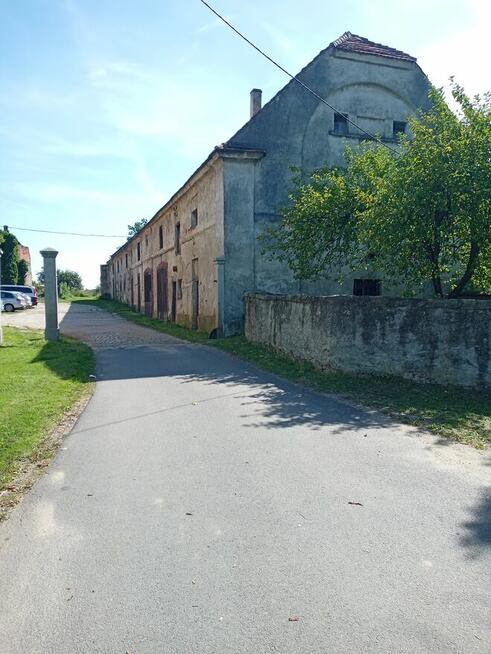 Sprzedam siedlisko w Międzyrzeczu koło Strzegomia