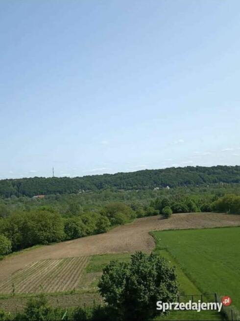 Działka rolno-rekreacyjna 3 ha z widokiem na Kazimierz Dolny