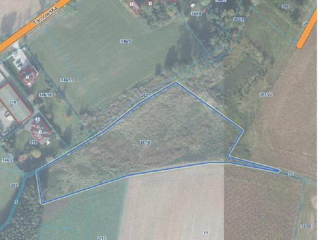 Działka inwestycyjna 9521m²–Napachanie blisko S11