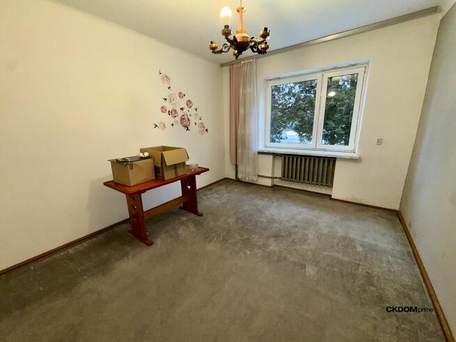 Dwa budynki mieszkalne i ponad 2000 m² gruntu w Starachowicach