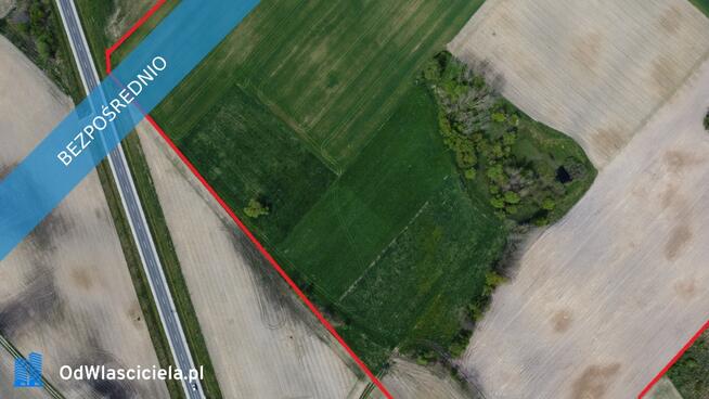 11 ha w jednym kawałku | foremna działka | 8 km od Lipna