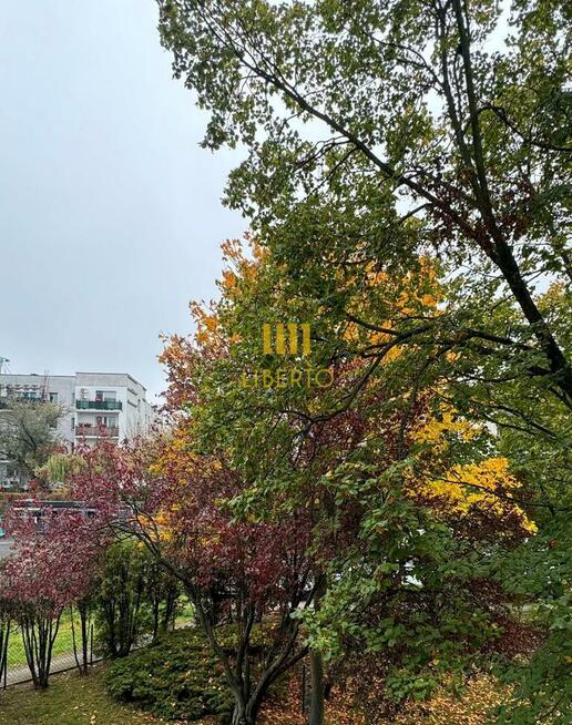 3 pok., Metro Natolin